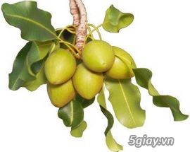 Hàng nhập từ Đức - mỹ phẩm, dầu gội, sữa tắm, sản phẩm chăm sóc cá nhân...các thương hiệu của Đức - 16