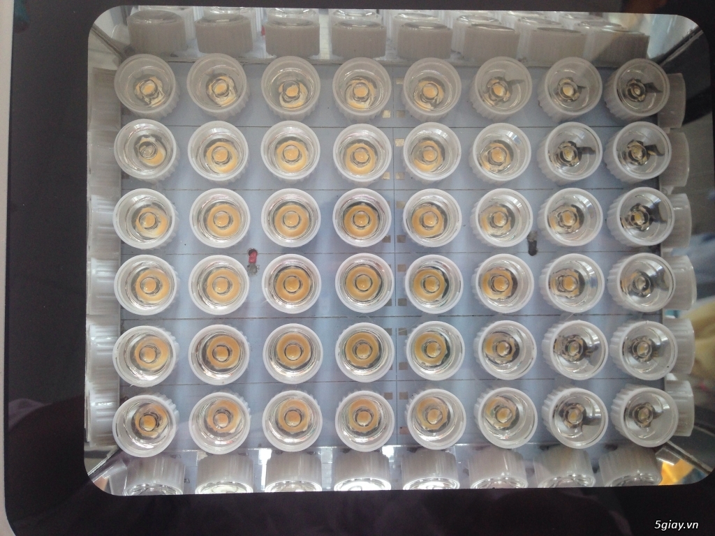 Ban den pha led sieu sang gia re