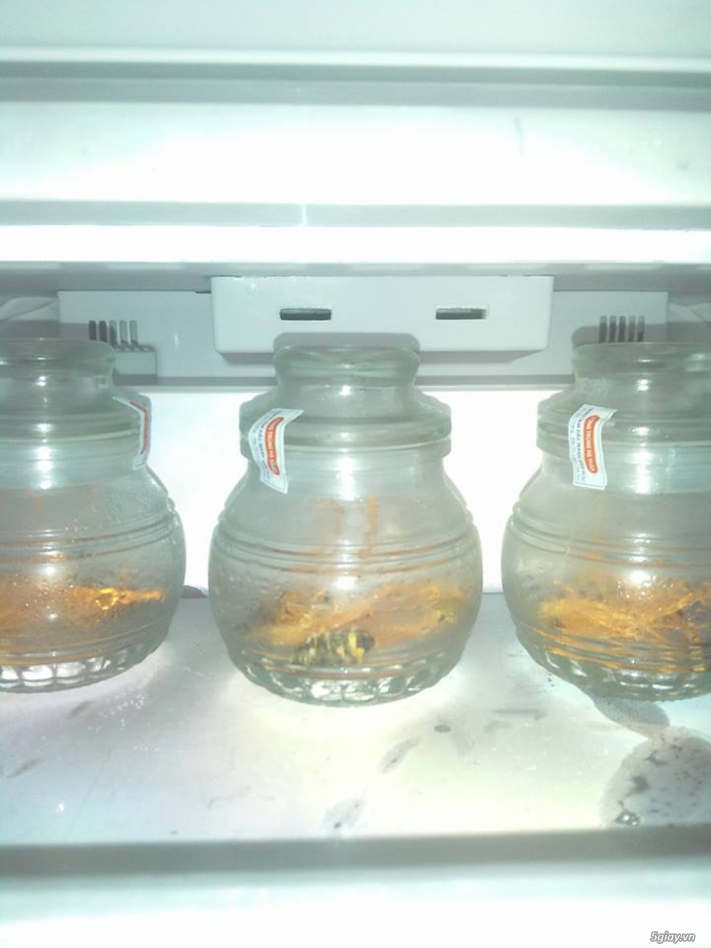 Bán Nấm Đông Trùng Hạ Thảo - 5