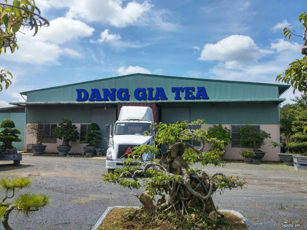 Trà Oolong cao cấp - quà tặng sang trọng mùa trung thu. - 1