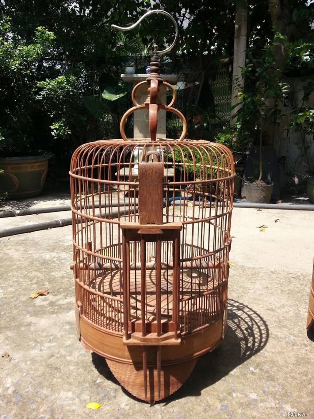 Họa mi 3 mùa và 1,5 mùa cần bán