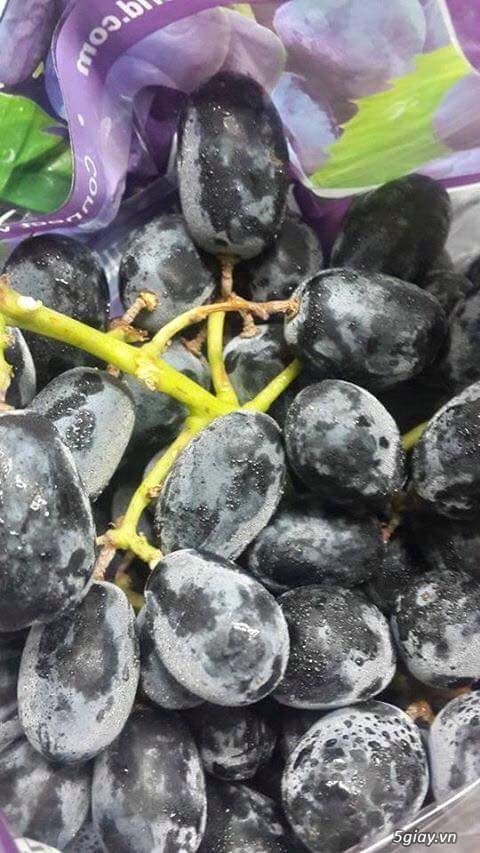 Funny Fruits_ Gian hàng trái cây nhập khẩu (Cherry, Kiwi NZ, Táo Nz/USA, Nho Mỹ/Nam Phi...) - 1