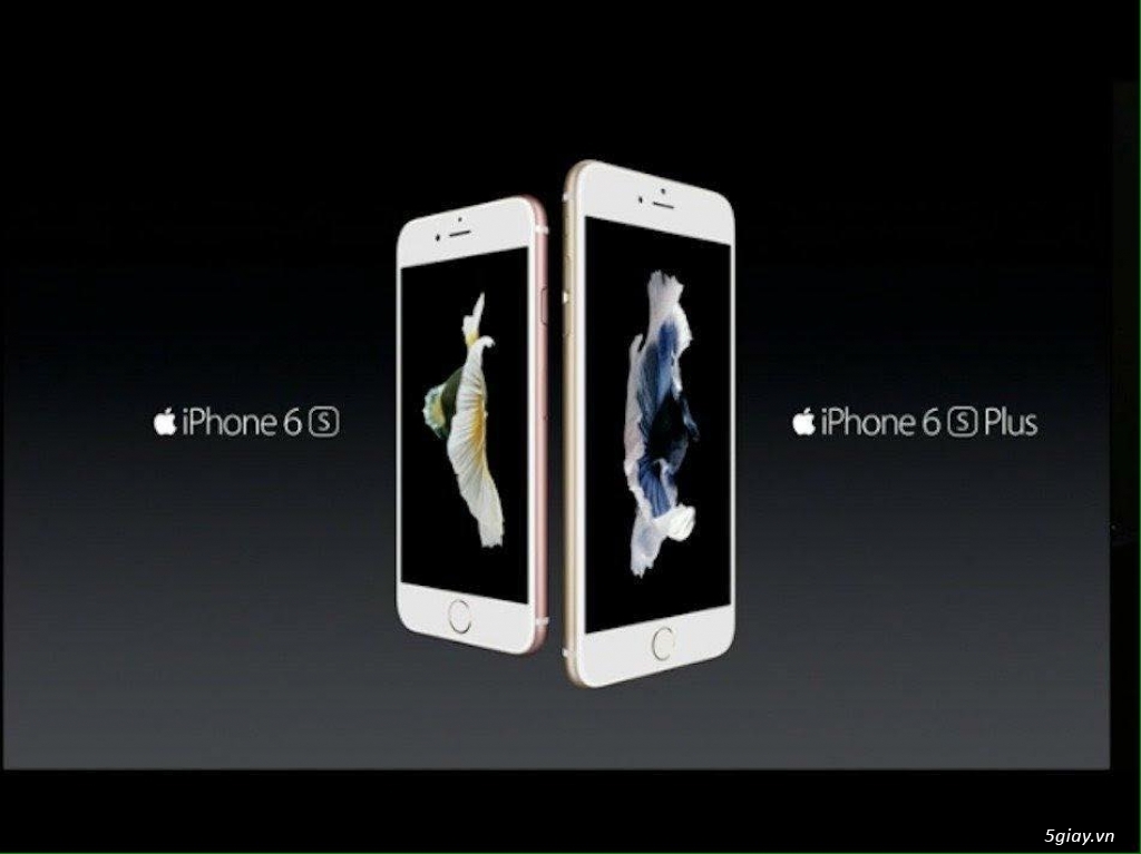 Mua iPhone 6s, iPhone 6s Plus giá rẻ - 2