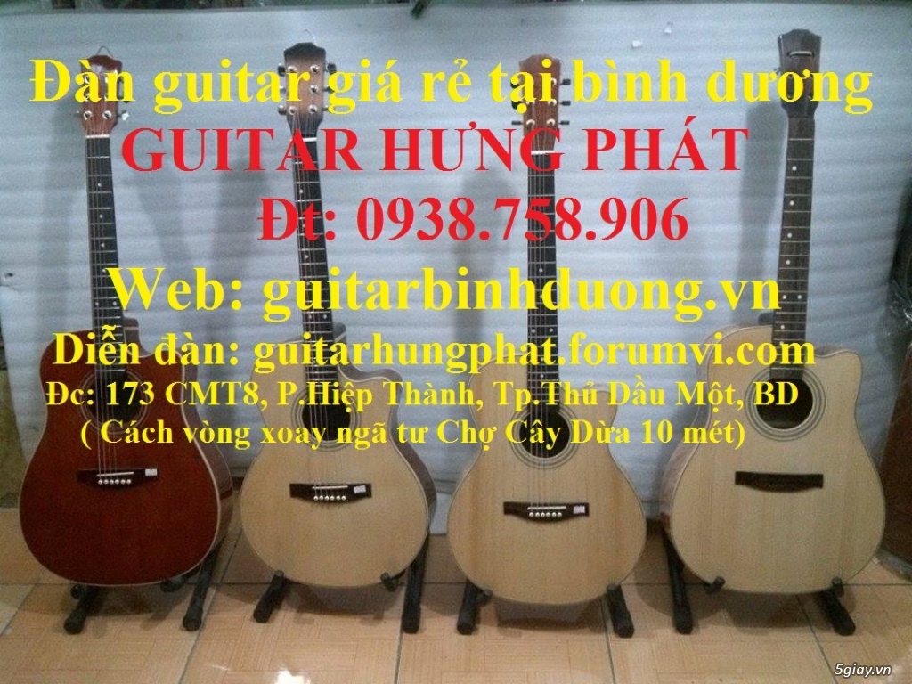 Guitar giá rẻ guitar sinh viên Bình Dương - 24