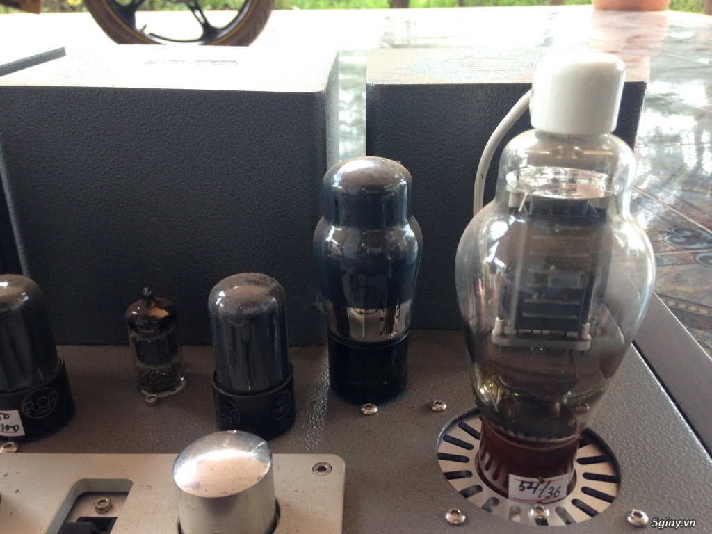 Ampli đèn 811A SE MKII Thi Văn, Pre đèn Meixing Mingda MC-7R - 1