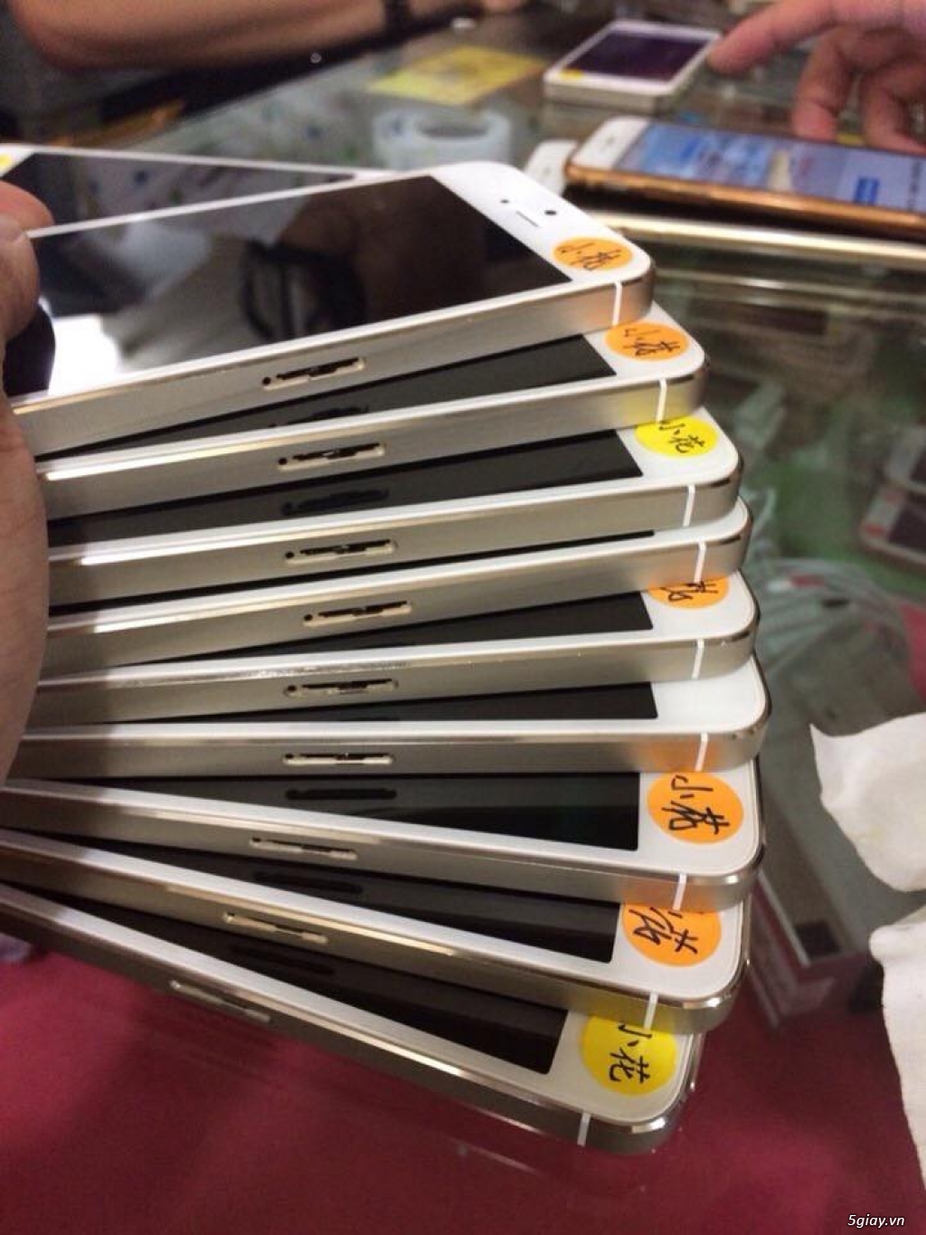 Toàn tâm apple- buôn sỉ ip giá cạnh tranh - 2