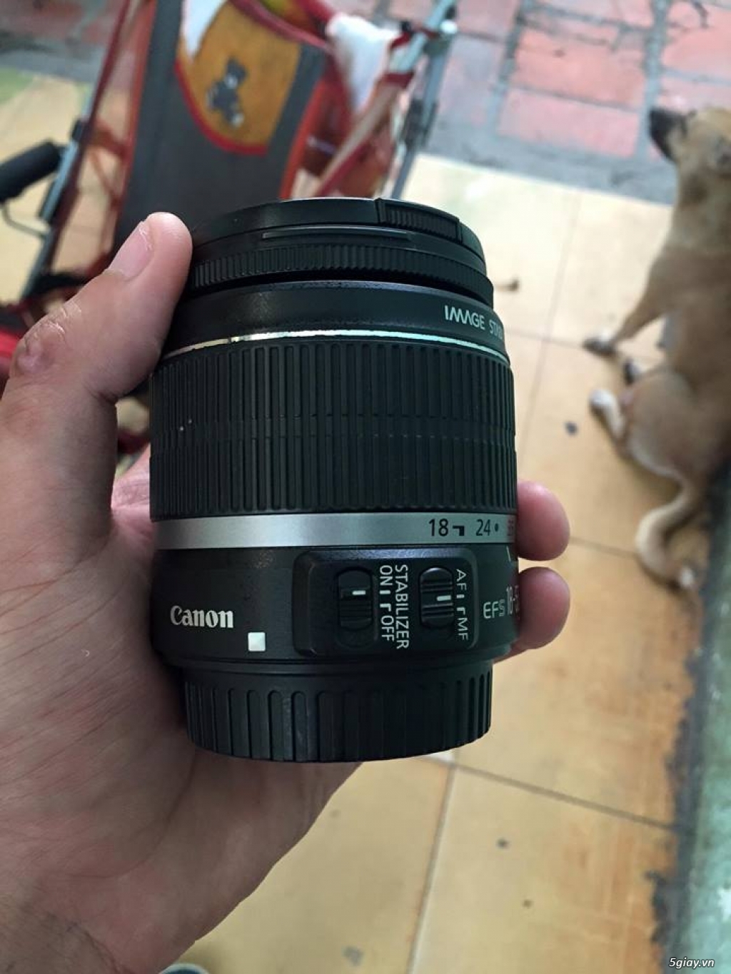 cần bán cái lens canon EFS 18-55mm 0.25m/0.8ft giá rẻ đây - 3