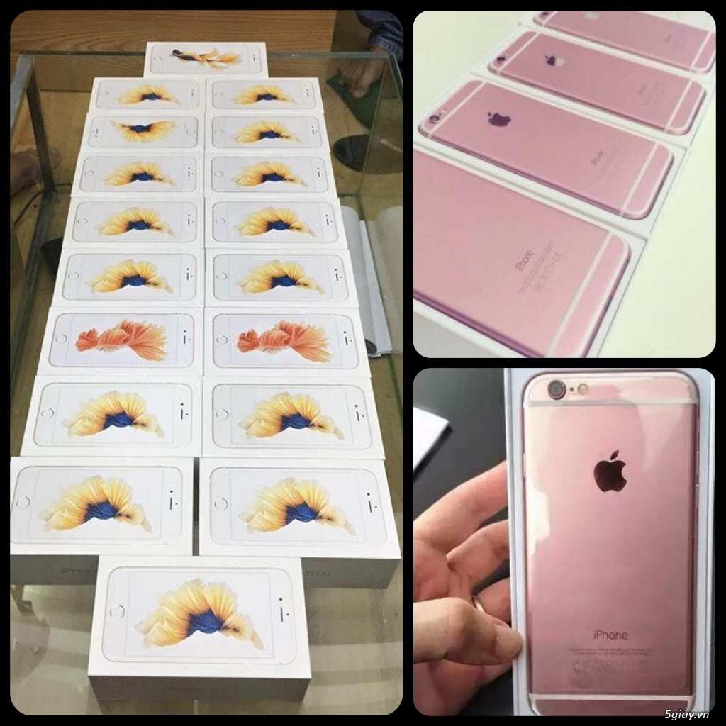 IP6s 16g Rose - Hàng úc nguyên seal 19tr - 3