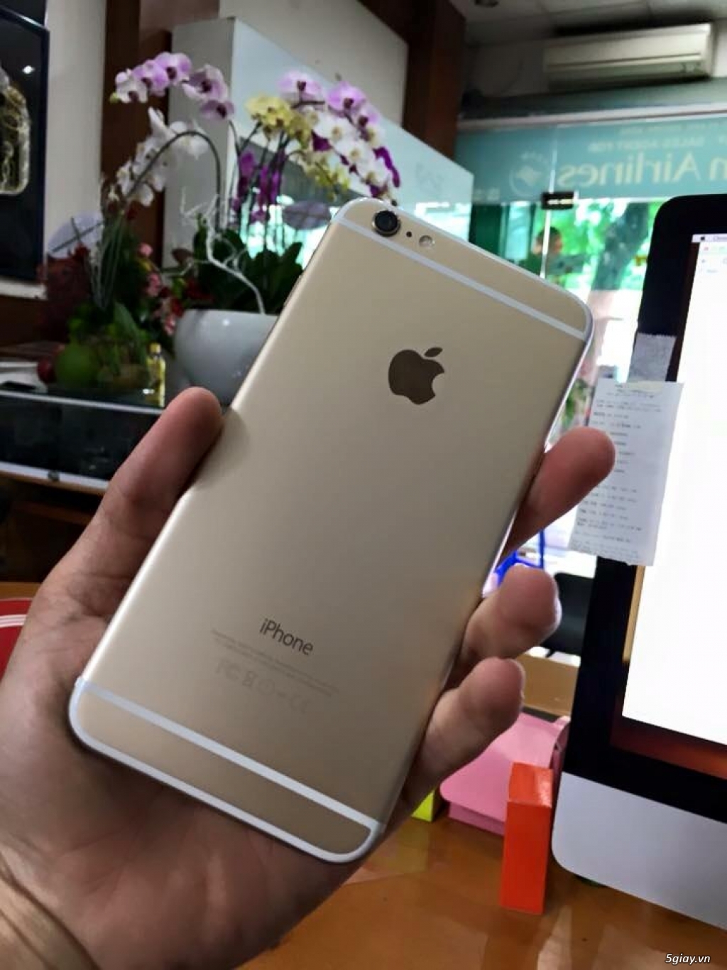 iPhone 6 Plus 64G Gold Giá Sock
