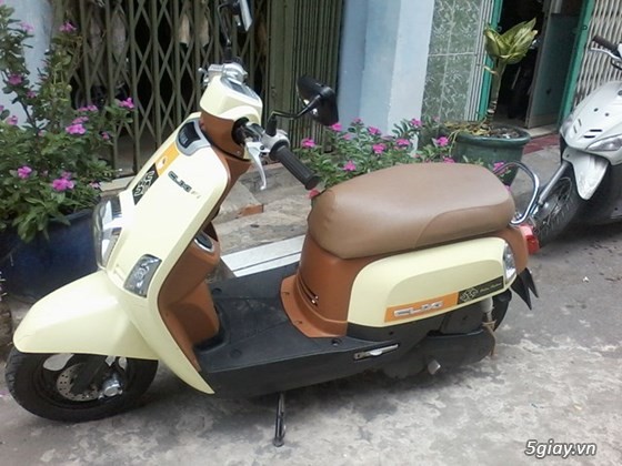 Yamaha cuxi FI màu vàng - 1