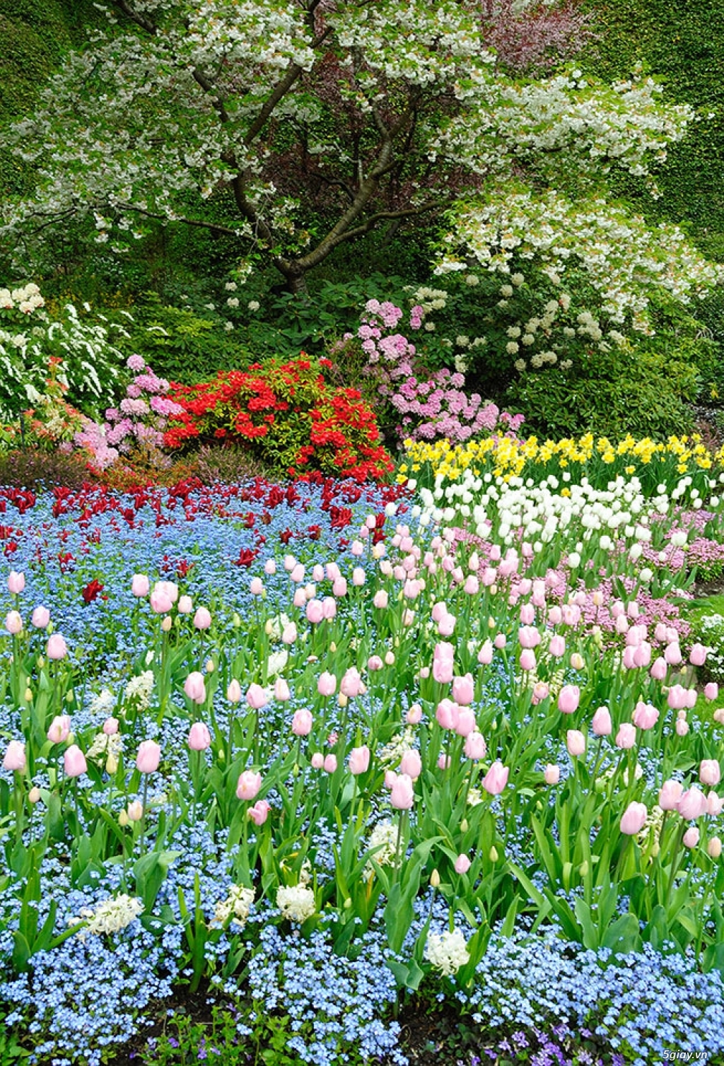 Giấy dán tường Hàn Quốc cao cấp giá tốt – nhà NKhẩu, phân phối, thi công chuyên nghiệp tại Việt Nam - 20