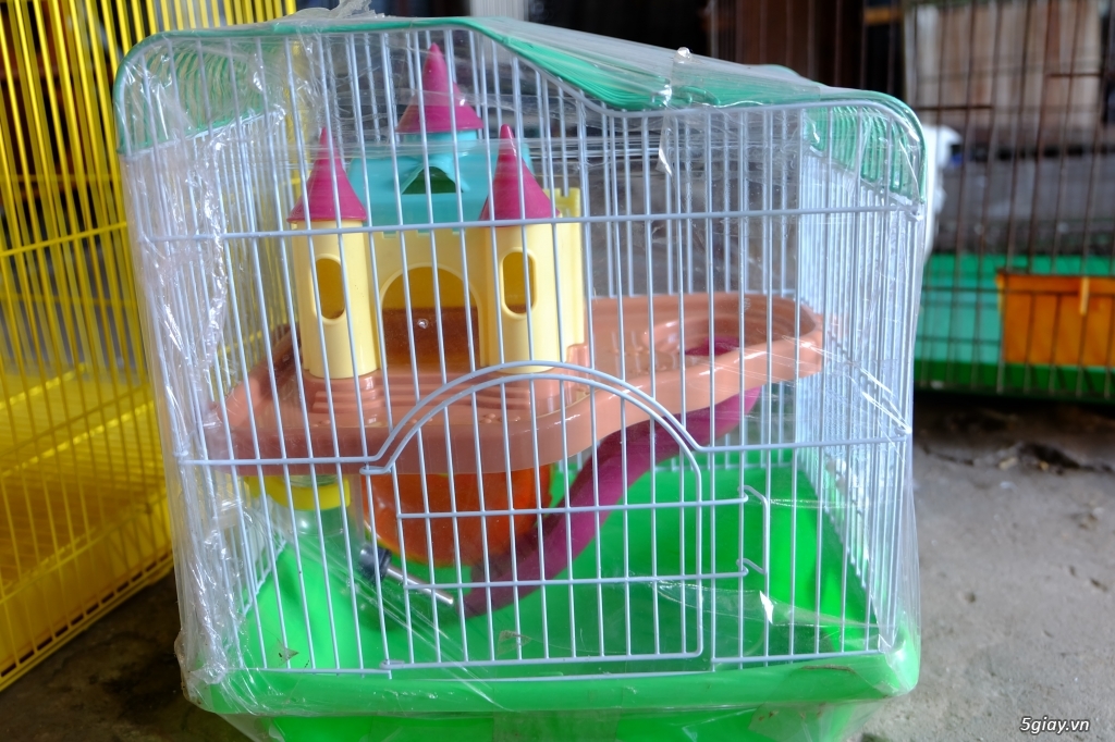 Chuột hamster Lồng nuôi và tất cả đồ chơi nuôi , free ship 1 số quận TP HCM - 3