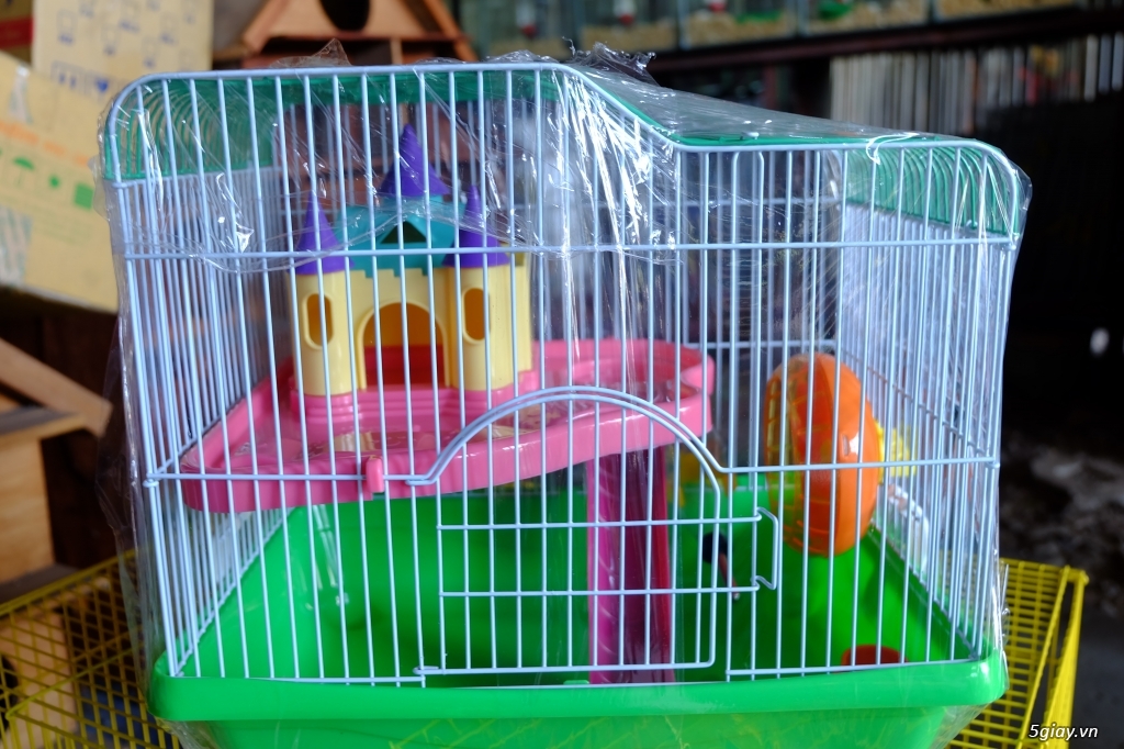 Chuột hamster Lồng nuôi và tất cả đồ chơi nuôi , free ship 1 số quận TP HCM - 6