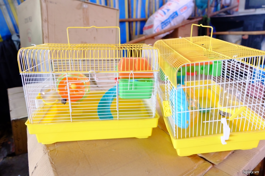 Chuột hamster Lồng nuôi và tất cả đồ chơi nuôi , free ship 1 số quận TP HCM - 5
