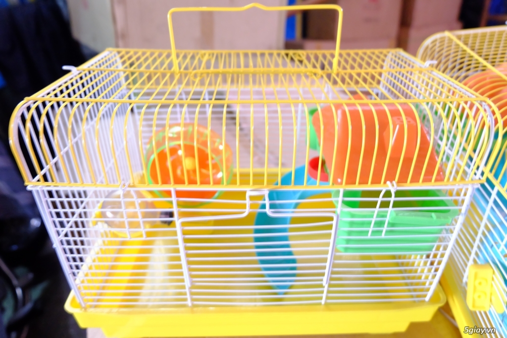 Chuột hamster Lồng nuôi và tất cả đồ chơi nuôi , free ship 1 số quận TP HCM - 4