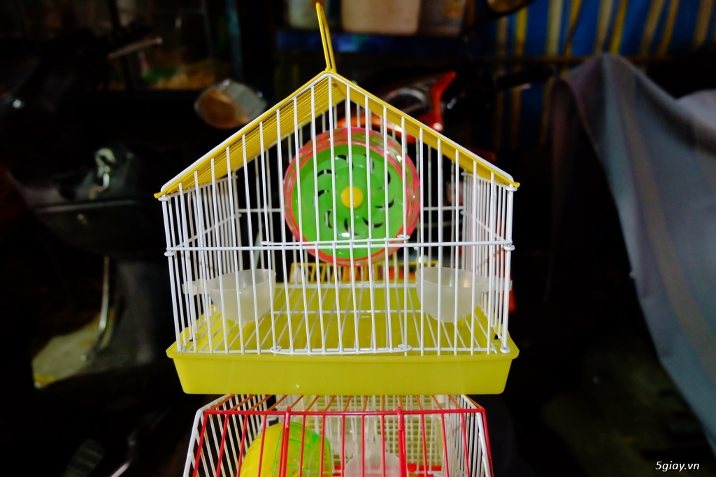 Chuột hamster Lồng nuôi và tất cả đồ chơi nuôi , free ship 1 số quận TP HCM - 1