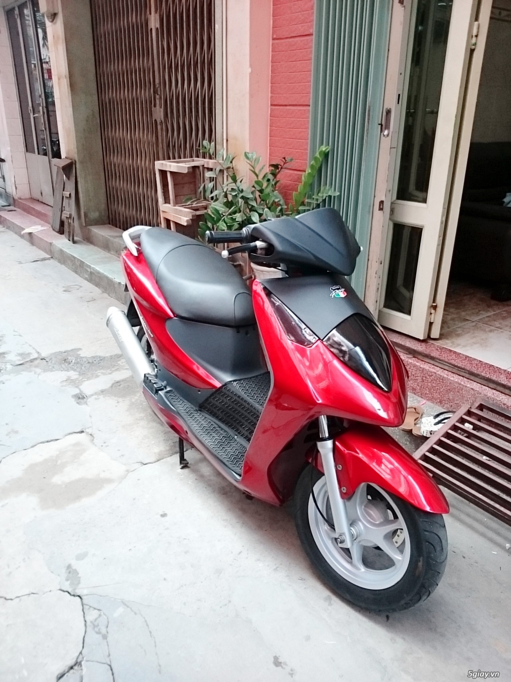 Dylan kiểng bs vip bán rẻ hoặc giao lưu!