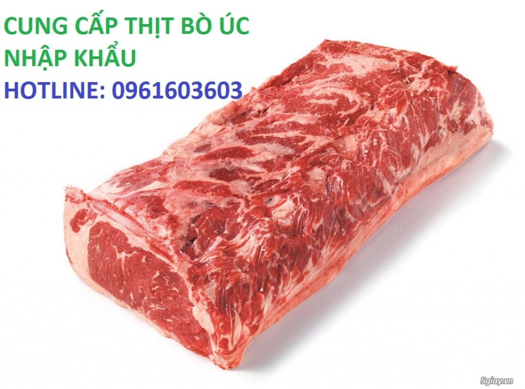 Thịt Bò ÚC Nhập Khẩu - 290k/kg Nạc Thăn - Chất Lượng Cao