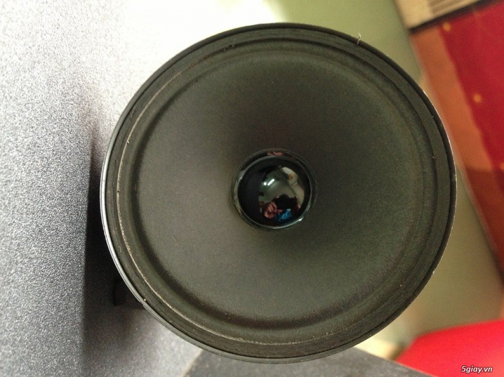 Thanh lý hàng trưng bày vài cặp loa Bose 301 seri III, Bose 301 seri IV, Bose 301 seri V chính hãng - 6