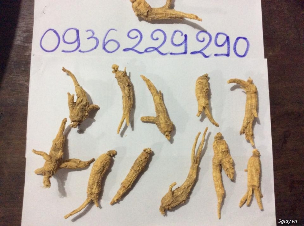 Bán nhân sâm Hoa Kỳ xách tay từ Mĩ - 1