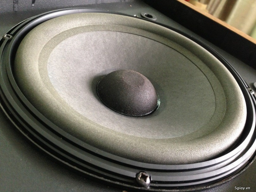 Thanh lý hàng trưng bày vài cặp loa Bose 301 seri III, Bose 301 seri IV, Bose 301 seri V chính hãng - 8
