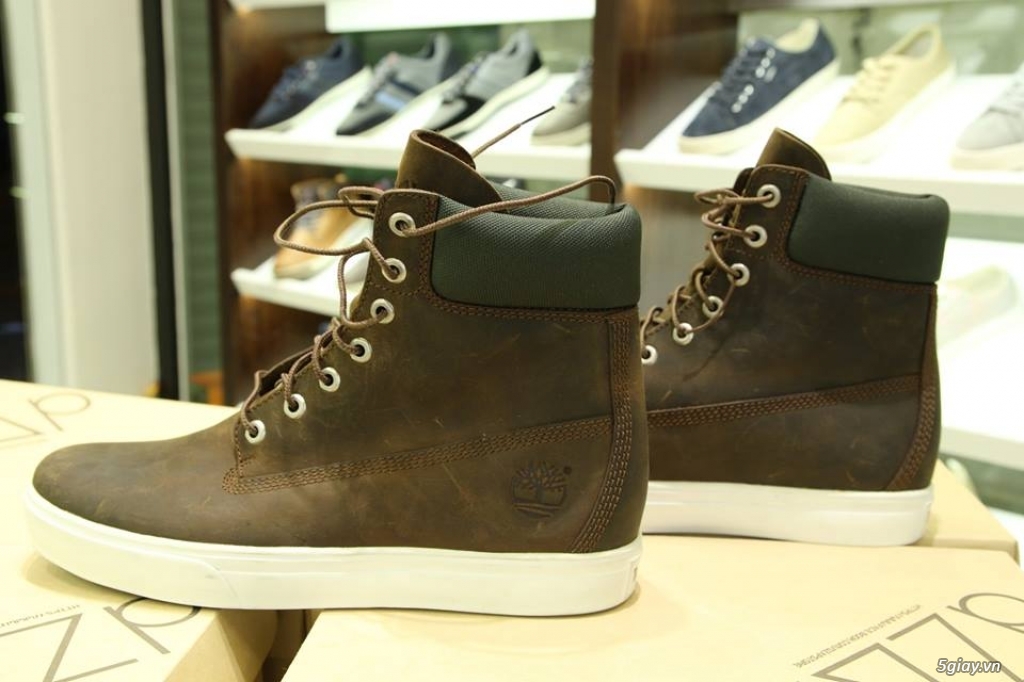 Giày chính hãng: TimberLand,Clarks - 40
