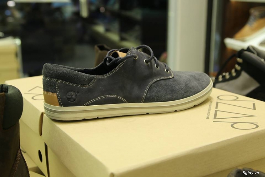 Giày chính hãng: TimberLand,Clarks - 21