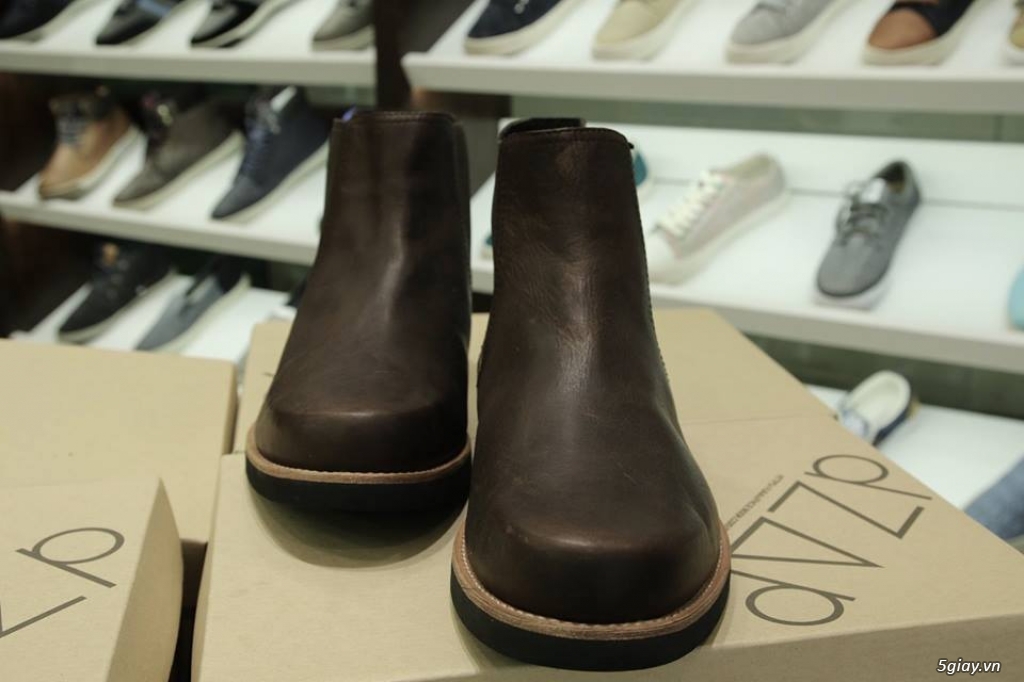 Giày chính hãng: TimberLand,Clarks - 27