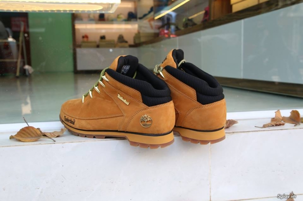 Giày chính hãng: TimberLand,Clarks - 3
