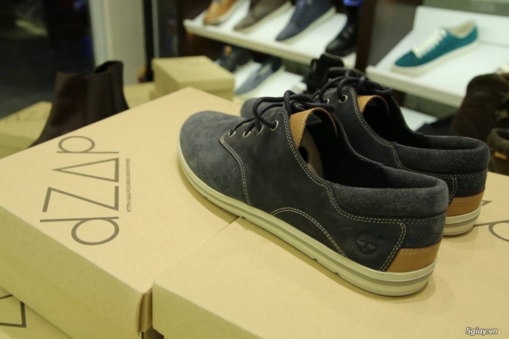 Giày chính hãng: TimberLand,Clarks - 22