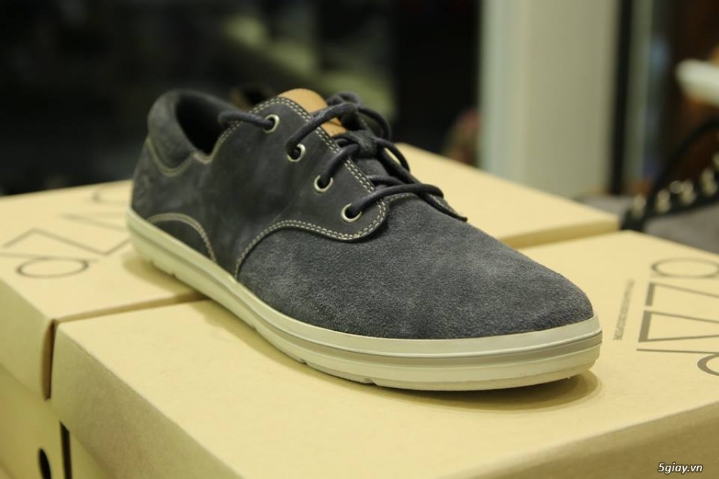 Giày chính hãng: TimberLand,Clarks - 20