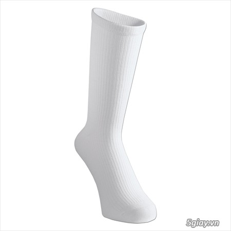 shopcatinh: Chuẩn bị khai trương gian hàng trực tuyến - 5