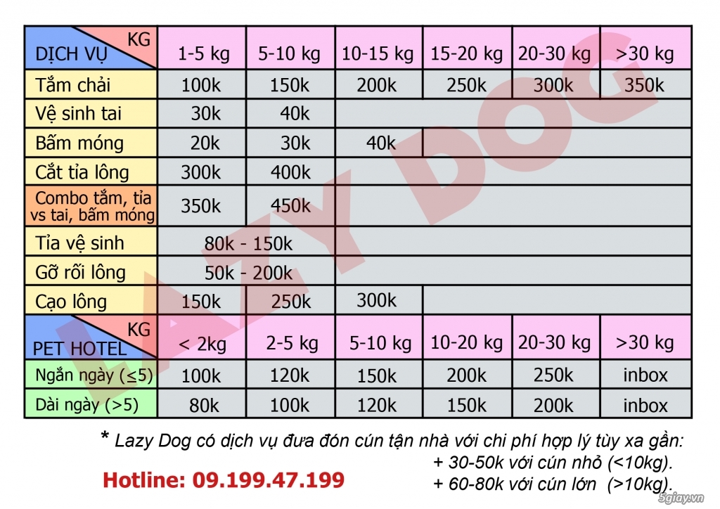 Lazy Dog chuyên các dịch vụ chăm sóc cún cưng: tắm, tỉa lông, giữ cún, khám chữa bệnh