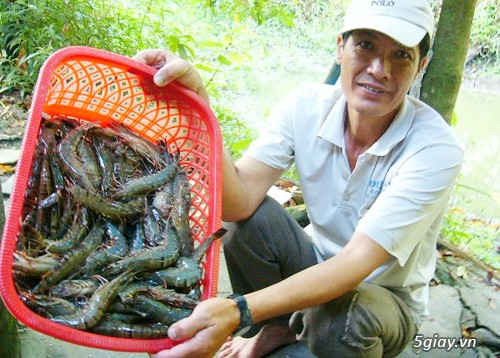 Bỏ Mối Sỉ Lẻ Tôm Càng Tôm Thẻ Tôm Sú - 1