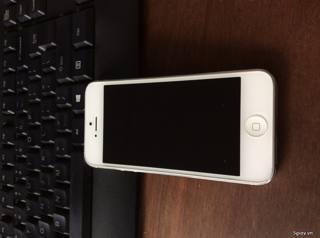 iphone 5 16g white qte - 1