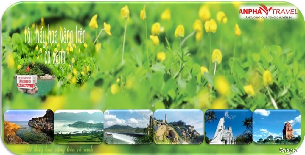 Phú Yên - Vùng đất hoa vàng - 9