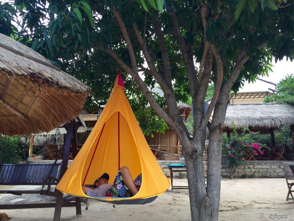 Du lịch sinh thái Sao Biển -Cam Ranh: ngủ lều, chèo thuyền Kayak, lặn ngắm san hô, BBQ, lửa trại. - 1