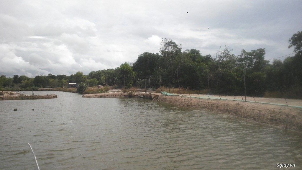 Bán đất đùng nuôi thủy sản tại xã Lộc An , huyện Long Đất, BR-VT. - 5