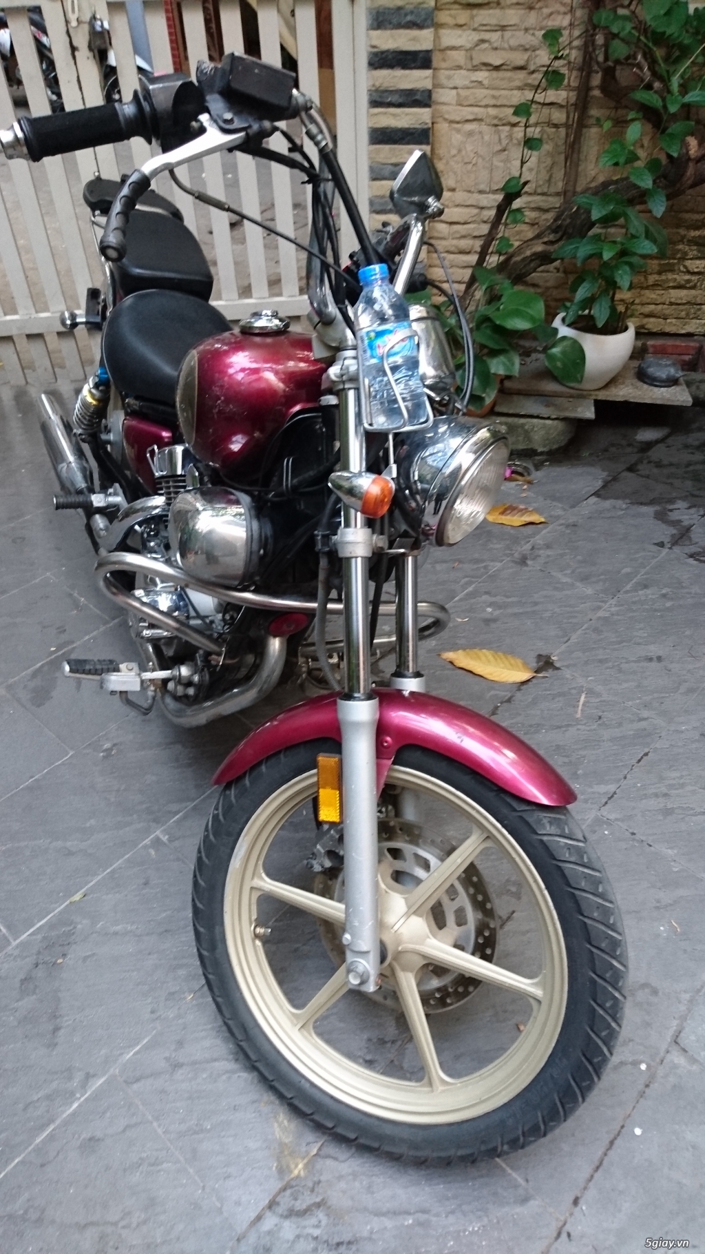 Bán moto Yamaha Virago giá bèo - 2