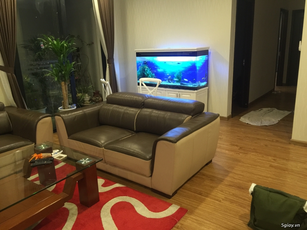 Sửa chữa và đóng mới ghế sofa da thật, giả da, vải nỉ các loại - 2