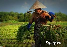 Tuyển Nam Theo Xe ôTô Cty Giao Hàng Tết Thu Nhập 2 triệu/Tuần