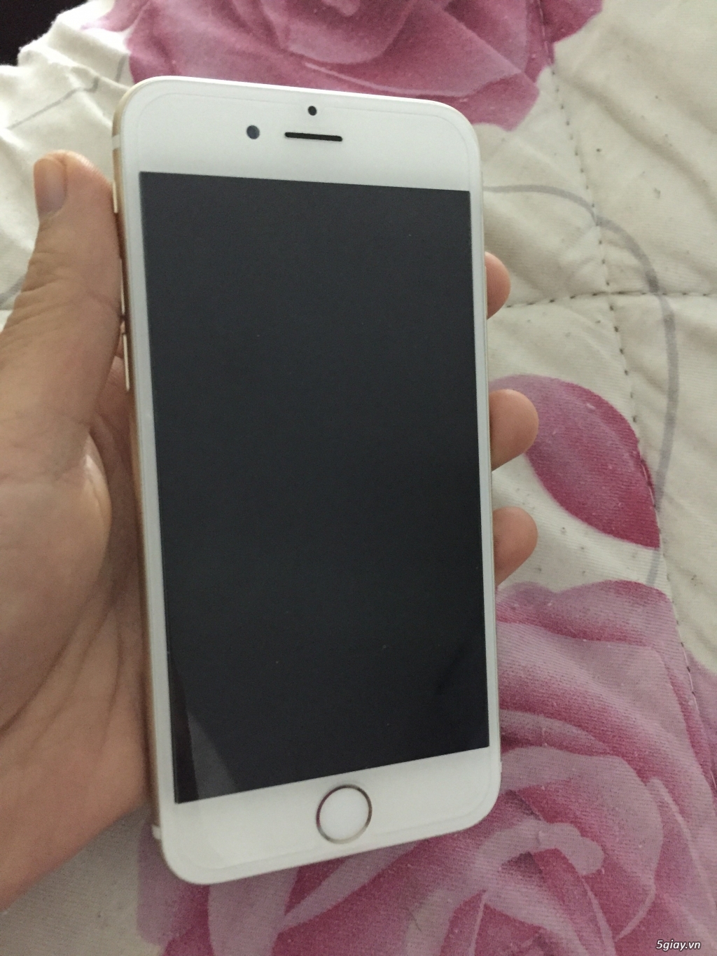 iphone 6 _64gb gold qt | 5giay