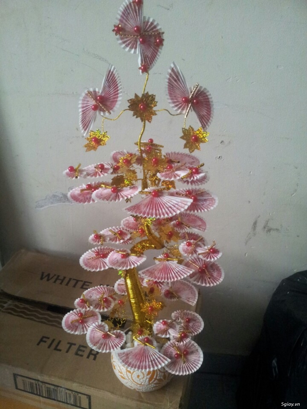 Cây hoa tiền thật tài lộc. - 1