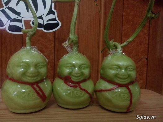 Nhận đặt dưa lê thần tài - THẦN TÀI GÕ CỬA CÙNG DƯA LÊ THẦN TÀI - 2