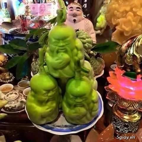 Nhận đặt dưa lê thần tài - THẦN TÀI GÕ CỬA CÙNG DƯA LÊ THẦN TÀI - 3