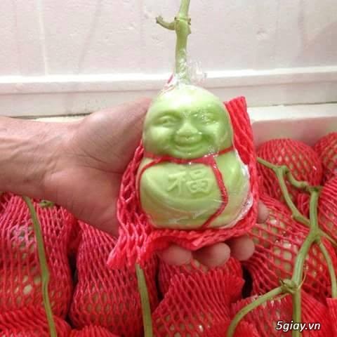 Nhận đặt dưa lê thần tài - THẦN TÀI GÕ CỬA CÙNG DƯA LÊ THẦN TÀI - 1