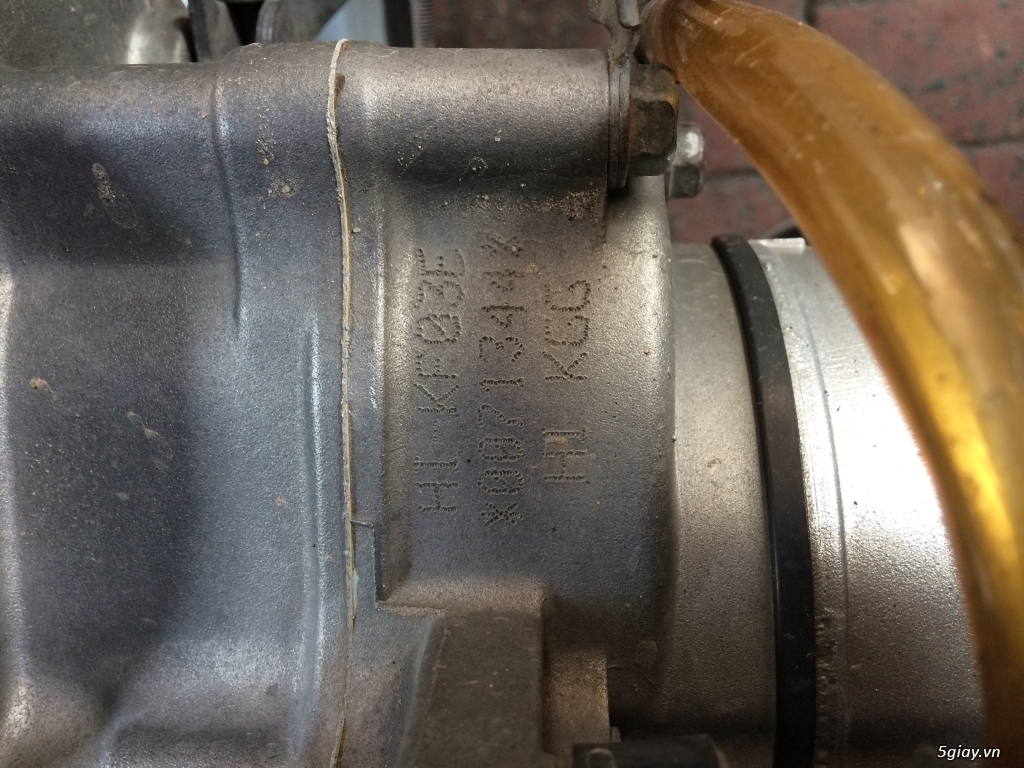 Dylan đk 2006 số đầu 71 - 2