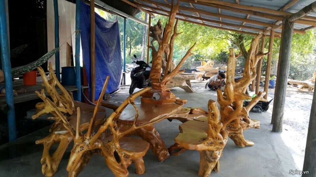 bộ bàn ghế rễ trai nguyên khối - 1