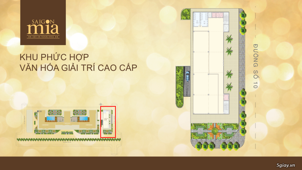 CHCC 5 sao Saigon Mia,Lavita garden,Sky Center,Vũng Tàu,8X Rainbow nội thất hoàn thiện ck cao 3%-24% - 11