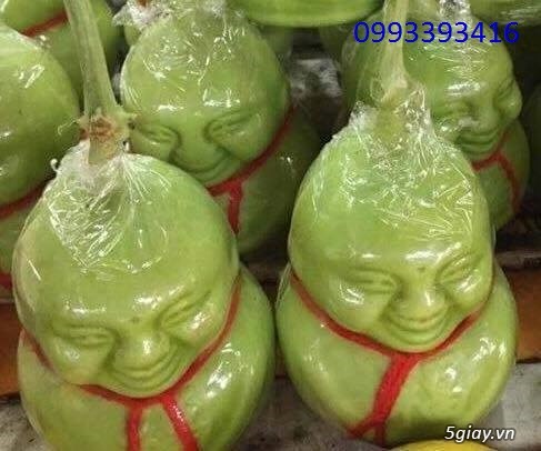 Dưa Lê Thần Tài Giá Rẽ Trưng Tết Phát Tài Phát Lộc - 2